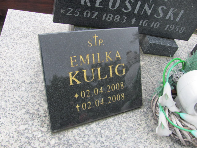 Emilia Kulig 2008 Kolbuszowa - Grobonet - Wyszukiwarka osób pochowanych
