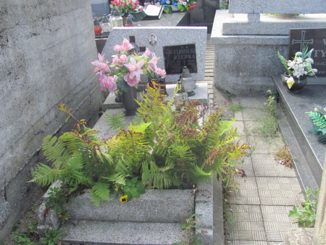 Grób Stanisław Rzepka
